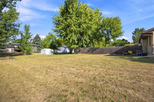 Backyard