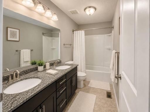 4342 Corn Silk Lane, Woodbury, MN 55129