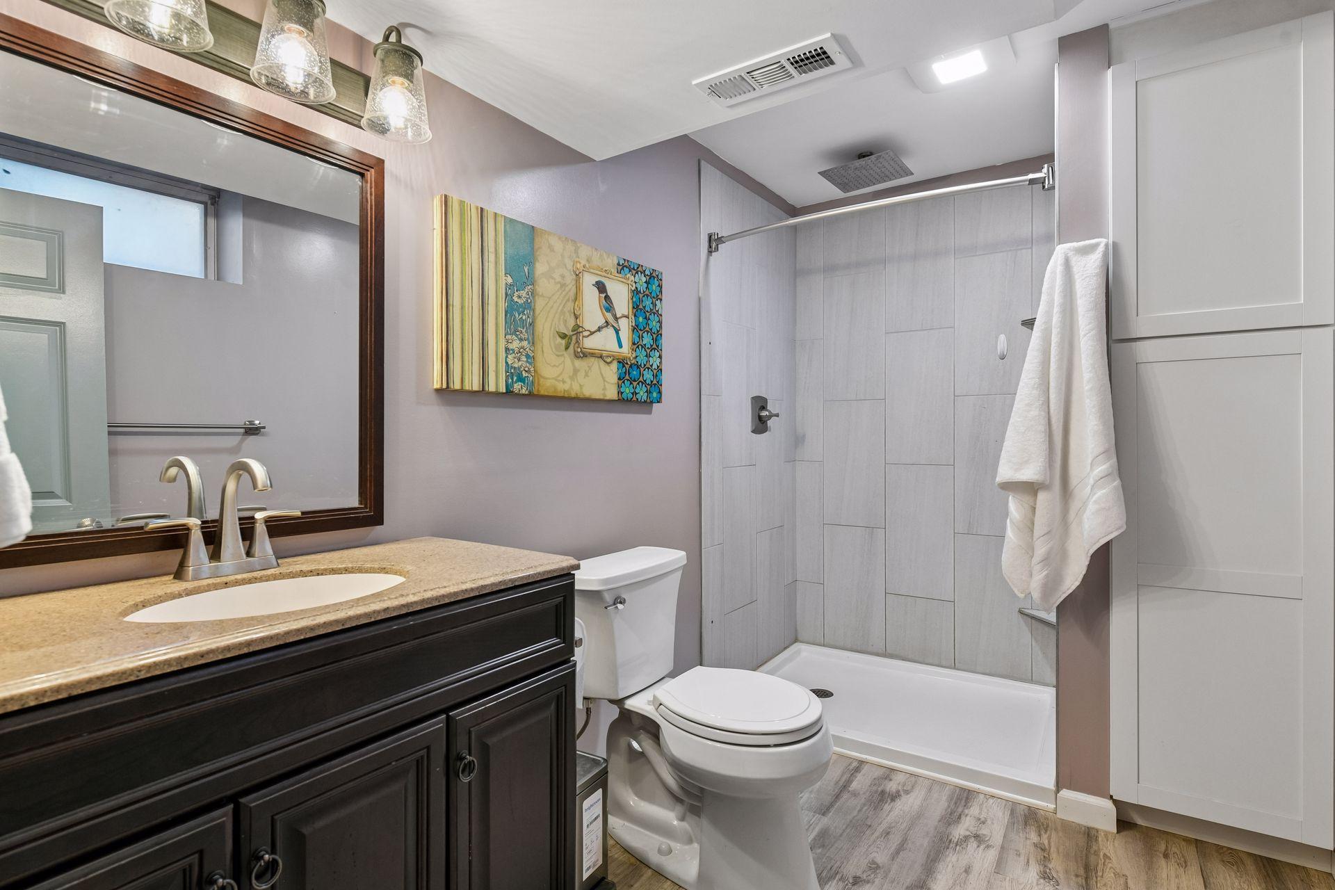 Lower level bath with walk in shower and vanity
