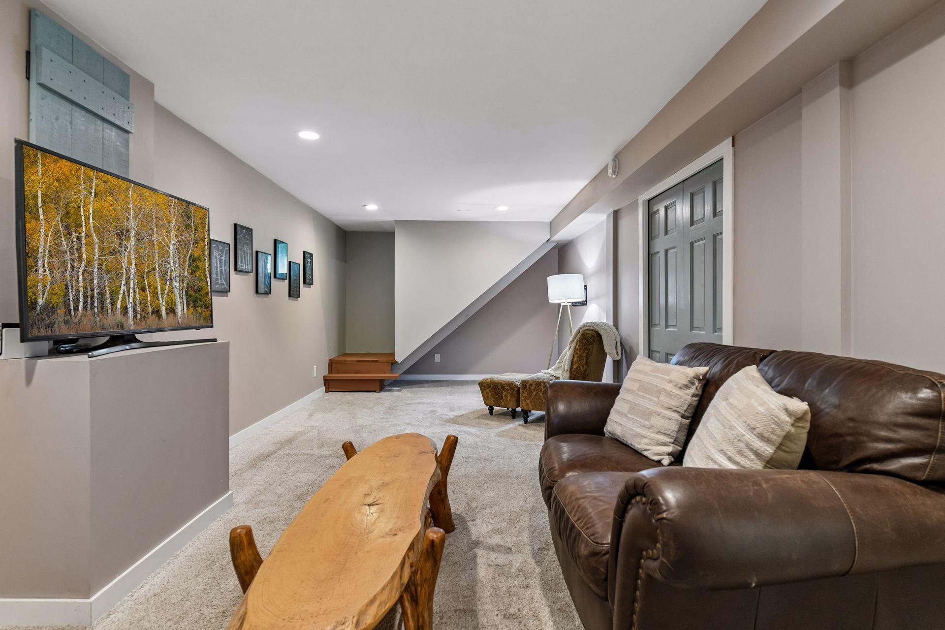 Lower level living room