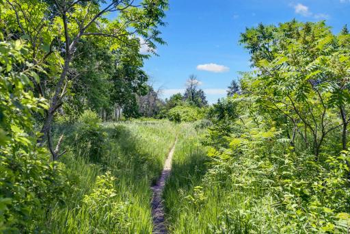 Trail through the beautiful Grey Cloud Dunes Scientific and Natural Area, next to the Mississippi Landing neighborhood.
