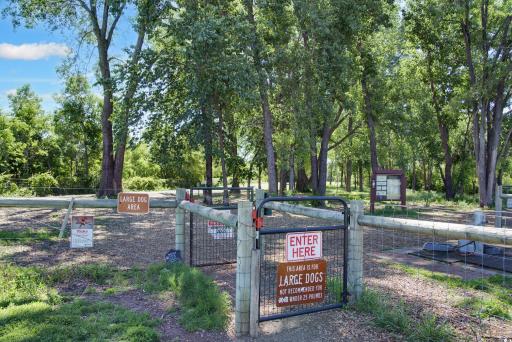 Wag Farms Dog Park has separate areas for large dogs and small dogs.