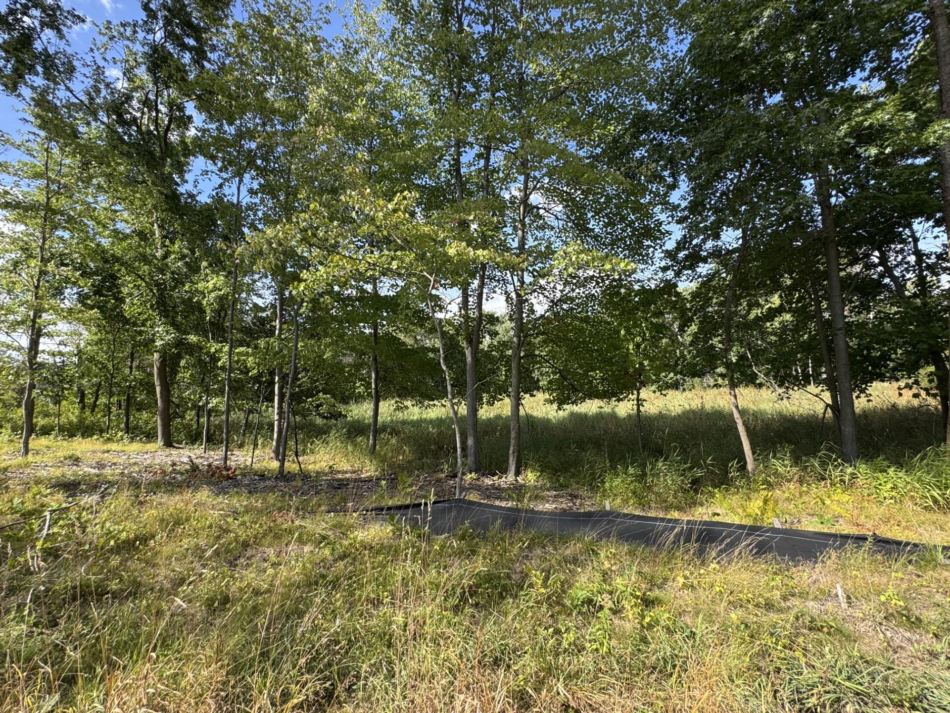 Peaceful 1.7-Acre Setting Surrounded by Nature