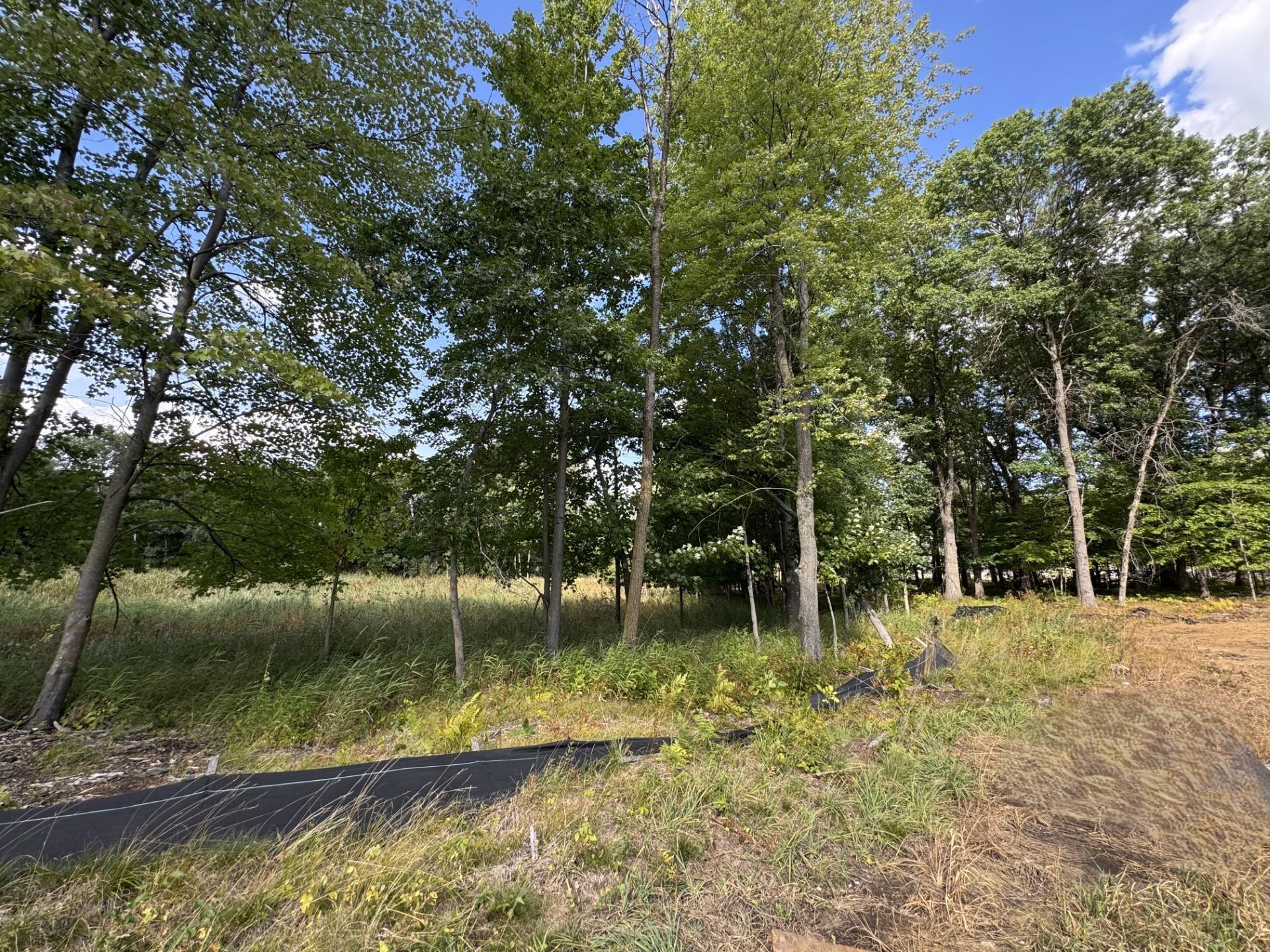 Private Wooded Backyard with Scenic Wetland Views