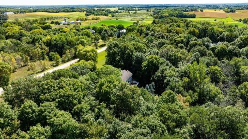 335 Desoto Avenue SW, Buffalo, MN 55313