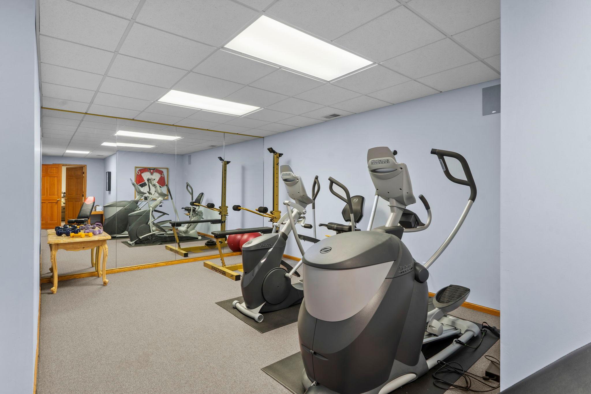 Lower Level Gym