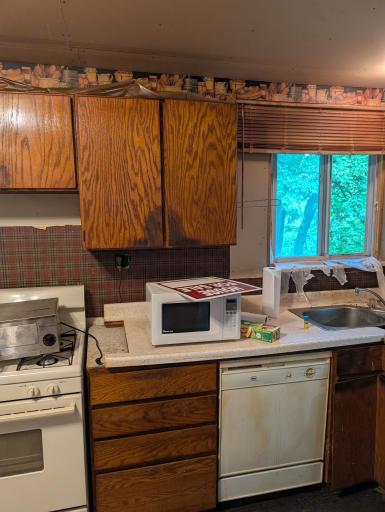 100 Cedar Street, Littlefork, MN 56653