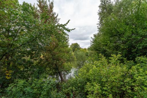 8348 Foxberry Drive, Savage, MN 55378
