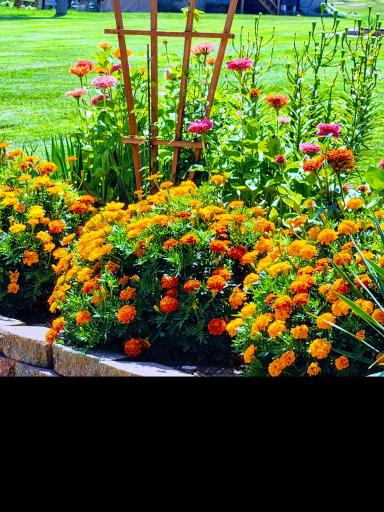 4460 Timber Shores Ct SW, Alexandria MN 56308 Beautiful gardens