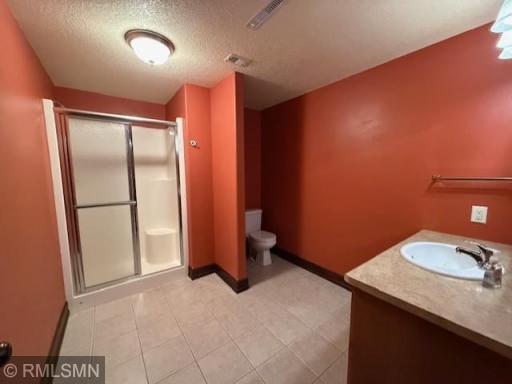 Lower Level Bathroom