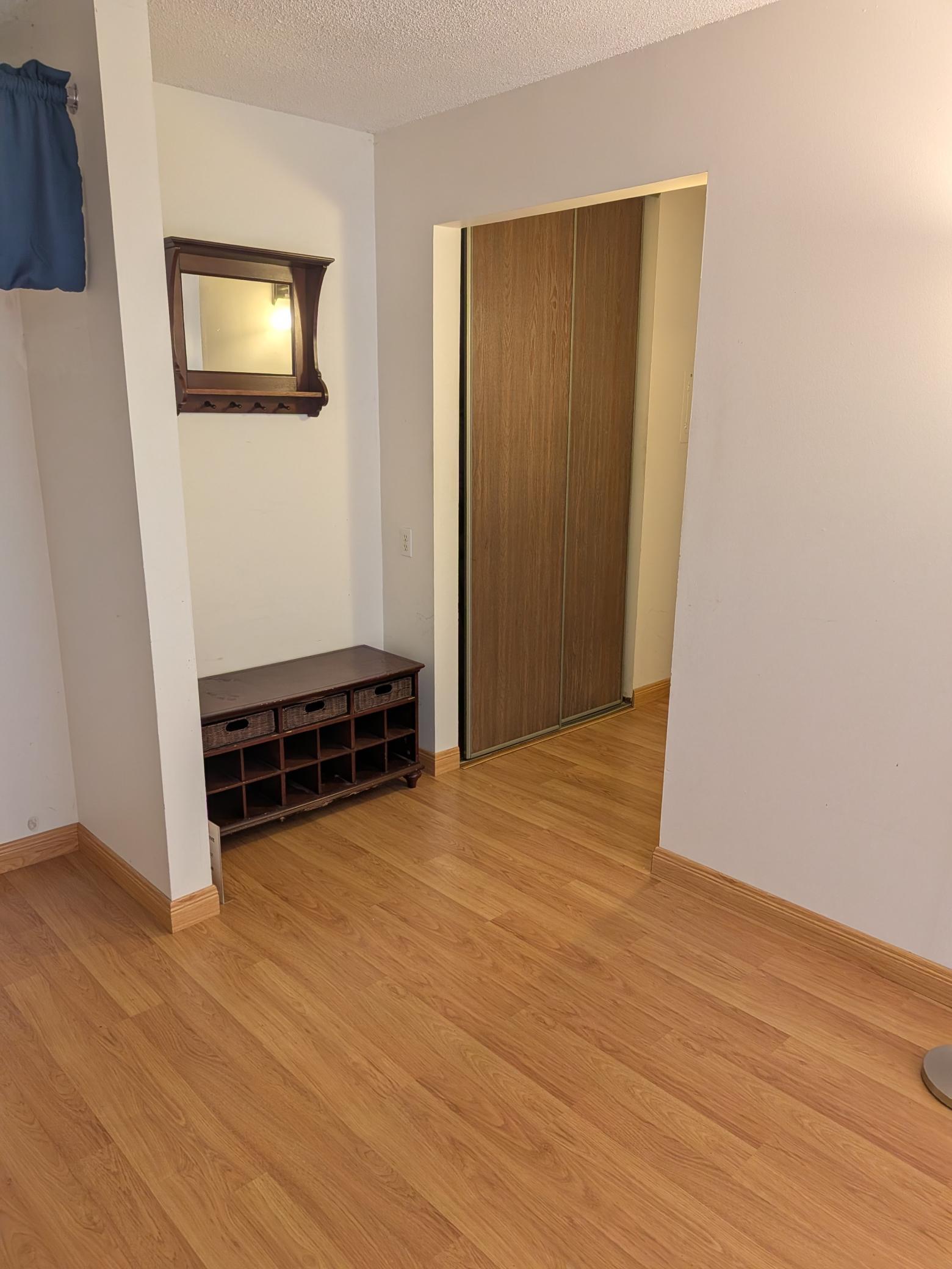 Entry with Closet View