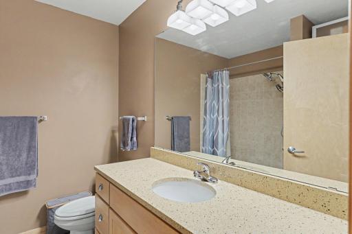 1502 5th Street N, 402, Hopkins, MN 55305