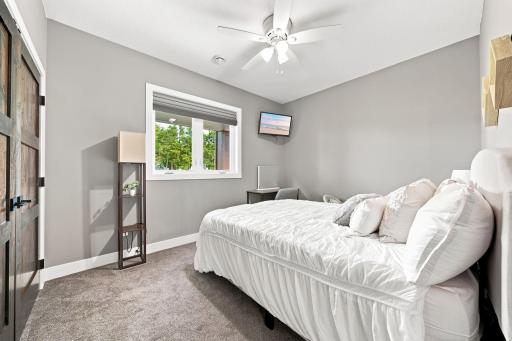 19135 Lake Volney Circle, Le Center, MN 56057