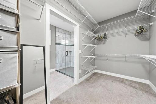 19135 Lake Volney Circle, Le Center, MN 56057