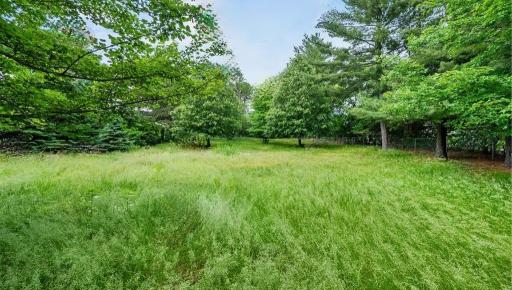 XXX Buffalo Lane, Shoreview, MN 55126