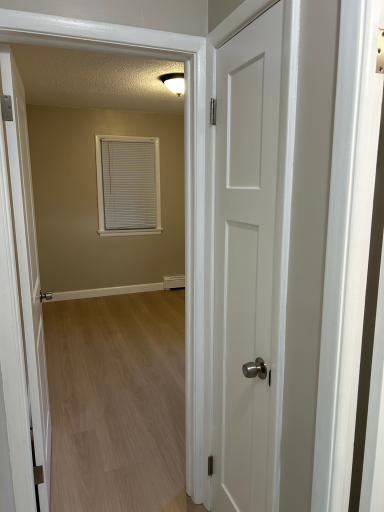 Untitled design (2).png