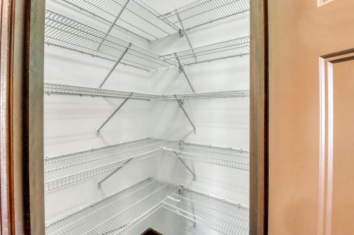 Kitchen_Pantry1_1.JPG