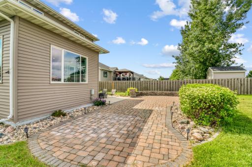 Backyard1_1.JPG