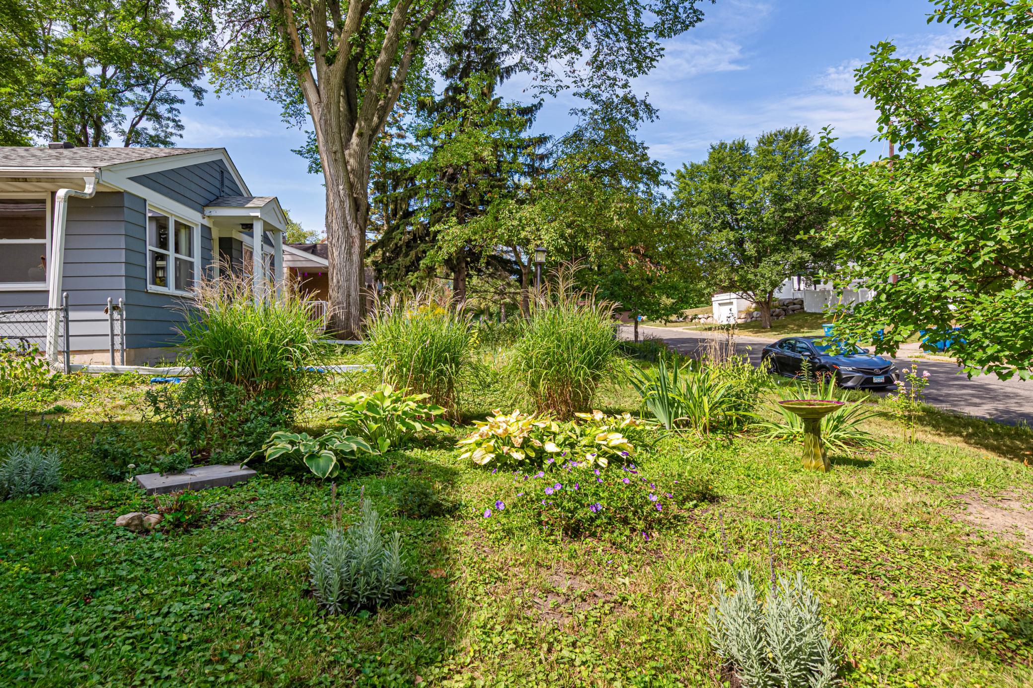 Front yard