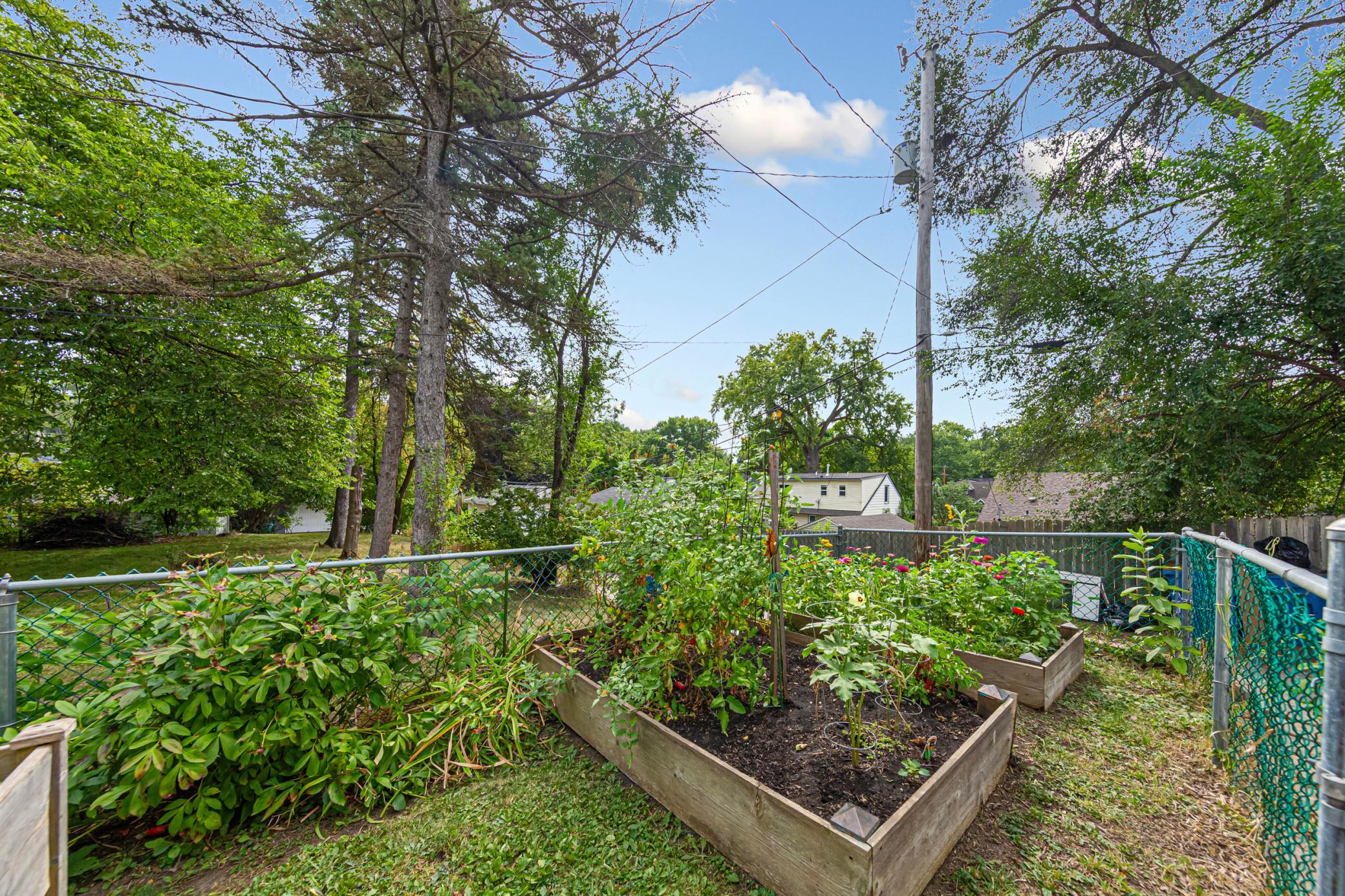 Grow your own fruits + vegetables!
