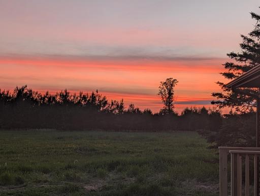 Sunsets