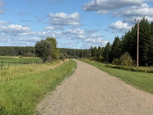 Street-Driveway
