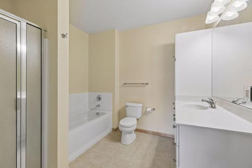 Owners Suite - private BA with tub and separte shower