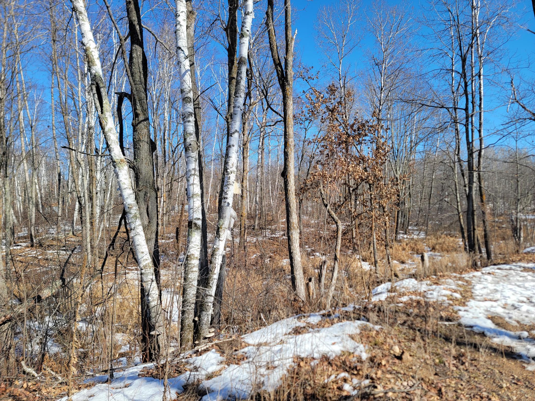 Facing the backside of lot 32