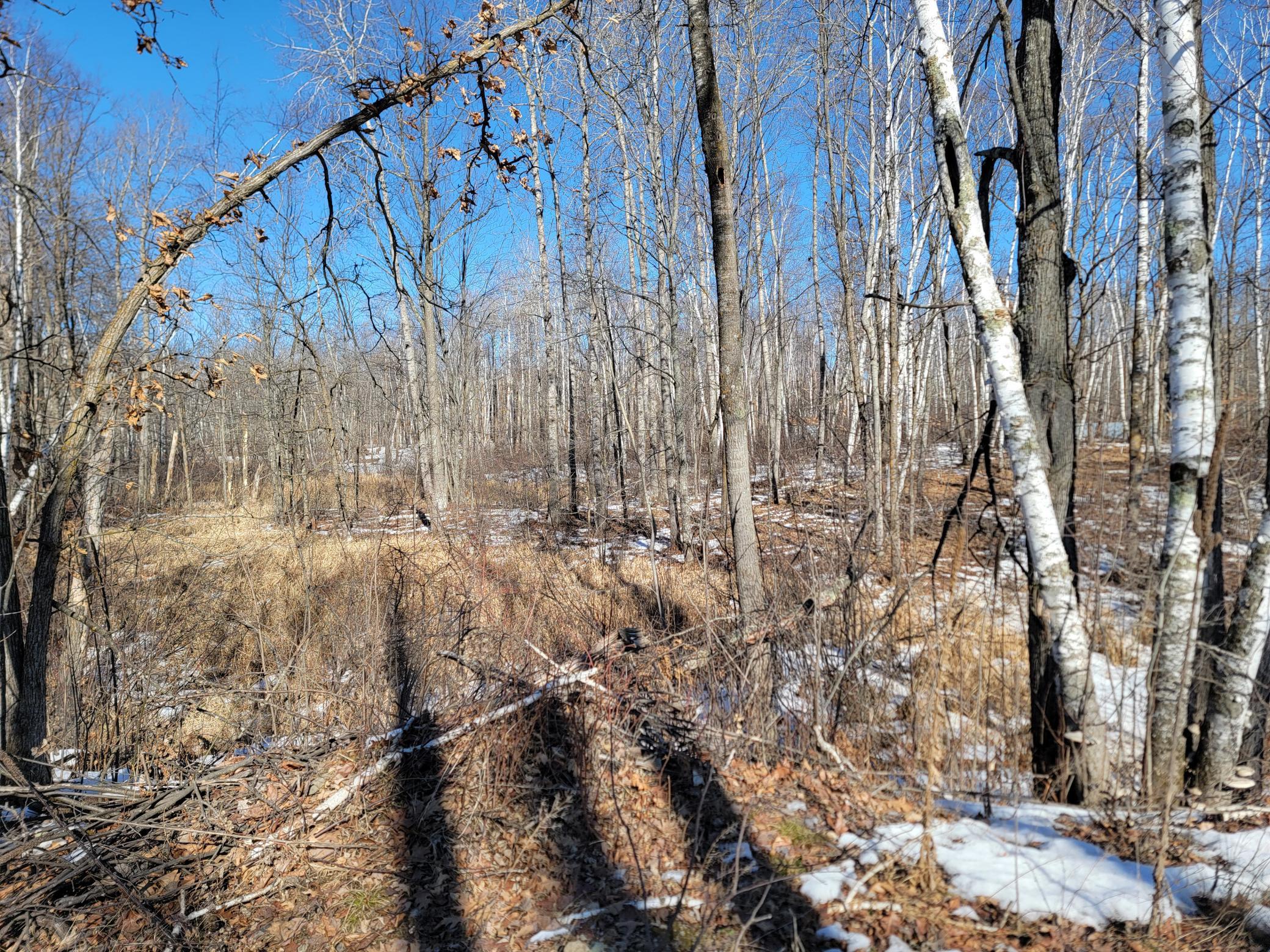 Photo from lot 32 facing slightly NE toward the rest of the lots