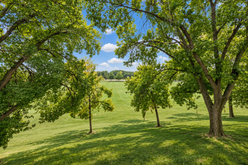 10295 backyard view.png