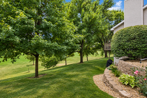 10925 Backyard .png