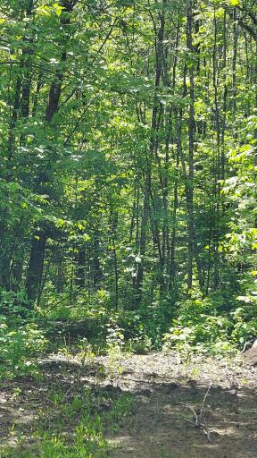 Photo for 17 County Road, Mizpah, MN 56660 - listing #7136774 17 County Road, Mizpah, MN 56660