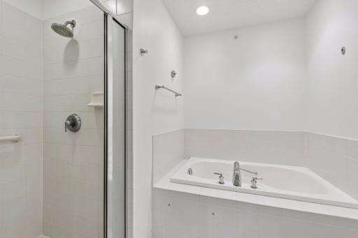 Walk in shower and jetted tub