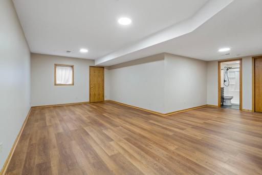 Basement Rec room with closet and 3/4 bathroom