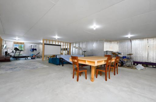 Unfinished Basement