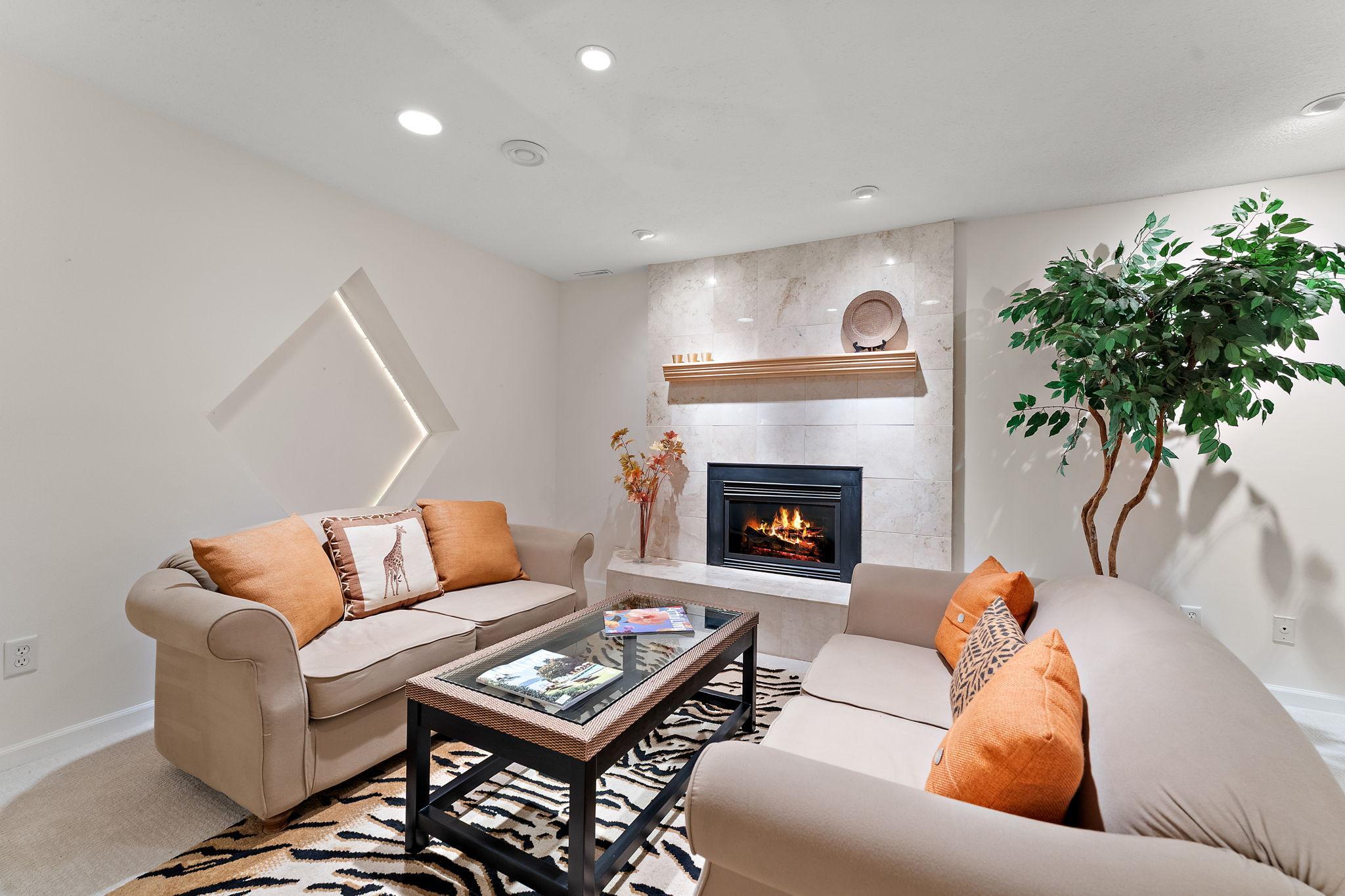 Basement living room