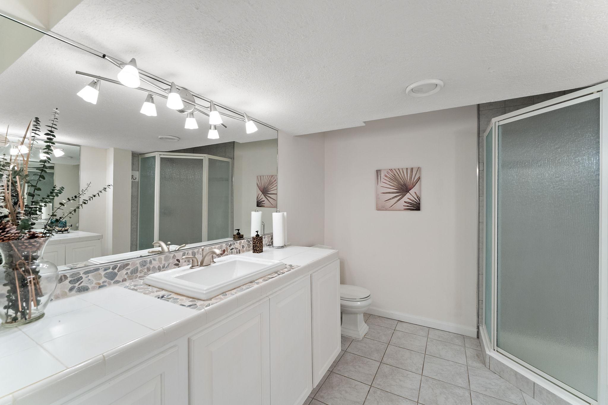Basement bathroom #4