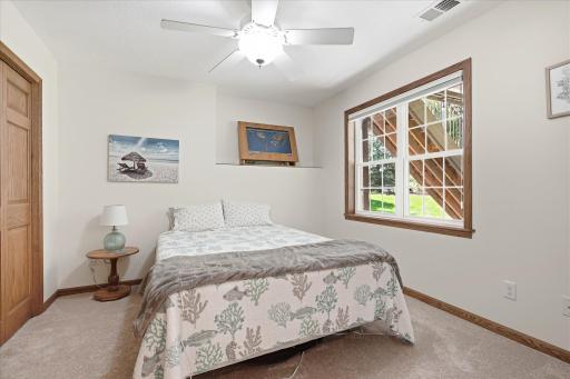 Lower level spacious 5th Bedroom: big closet w/built-in organizer and ceiling/fan light
