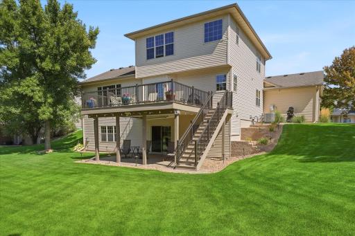 Backyard 4.jpg