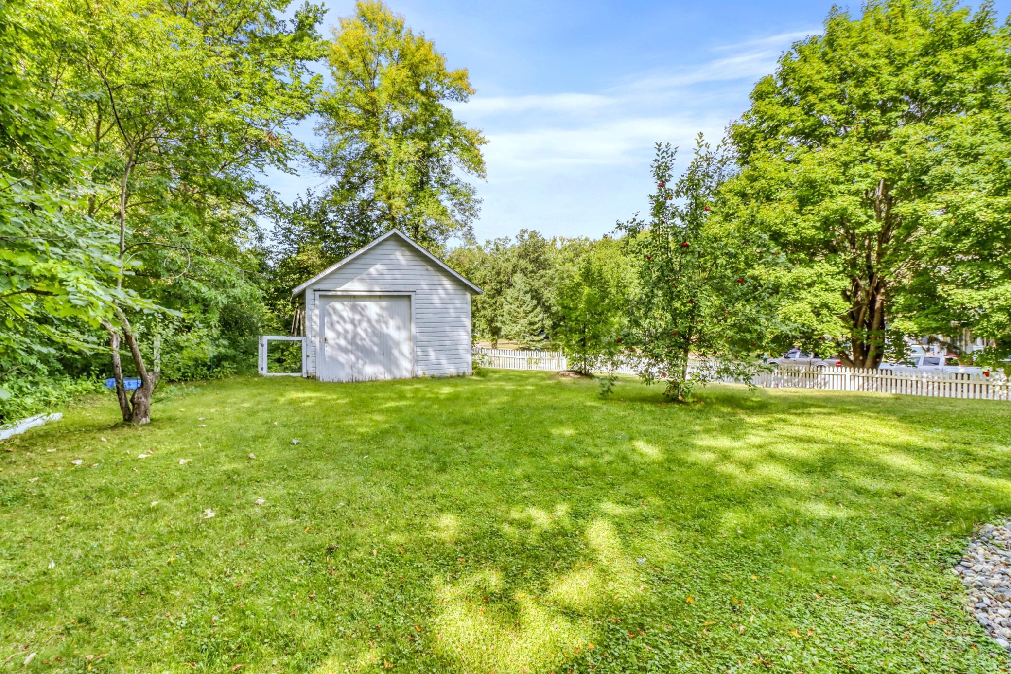 Backyard1_1.JPG
