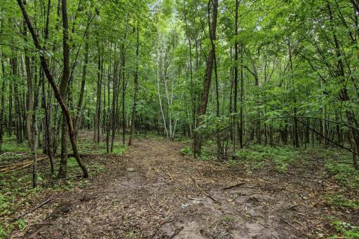 Lot 1 4th Street, Clayton, WI 54004