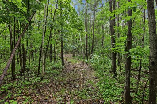 Lot 1 4th Street, Clayton, WI 54004