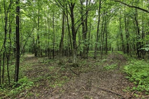 Lot 1 4th Street, Clayton, WI 54004