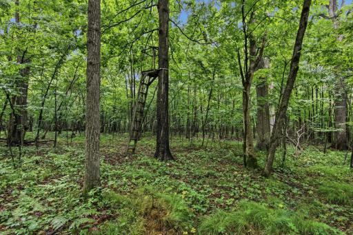 Lot 1 4th Street, Clayton, WI 54004