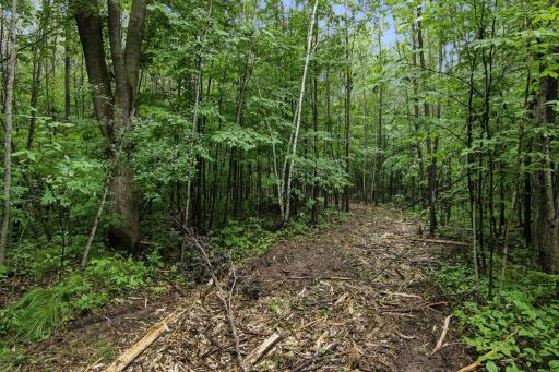 Lot 1 4th Street, Clayton, WI 54004