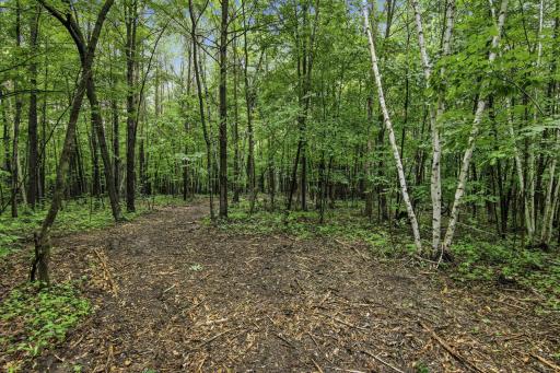 Lot 1 4th Street, Clayton, WI 54004