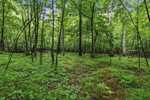 Lot 1 4th Street, Clayton, WI 54004