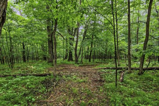 Lot 1 4th Street, Clayton, WI 54004