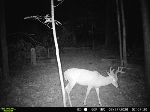 Lot 1 4th Street, Clayton, WI 54004