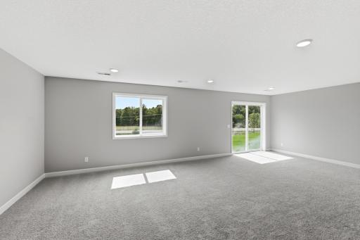 Finished Walkout Basement - The Silvercreek at 825 Walnut Grove Lane in Oakview Ridge!